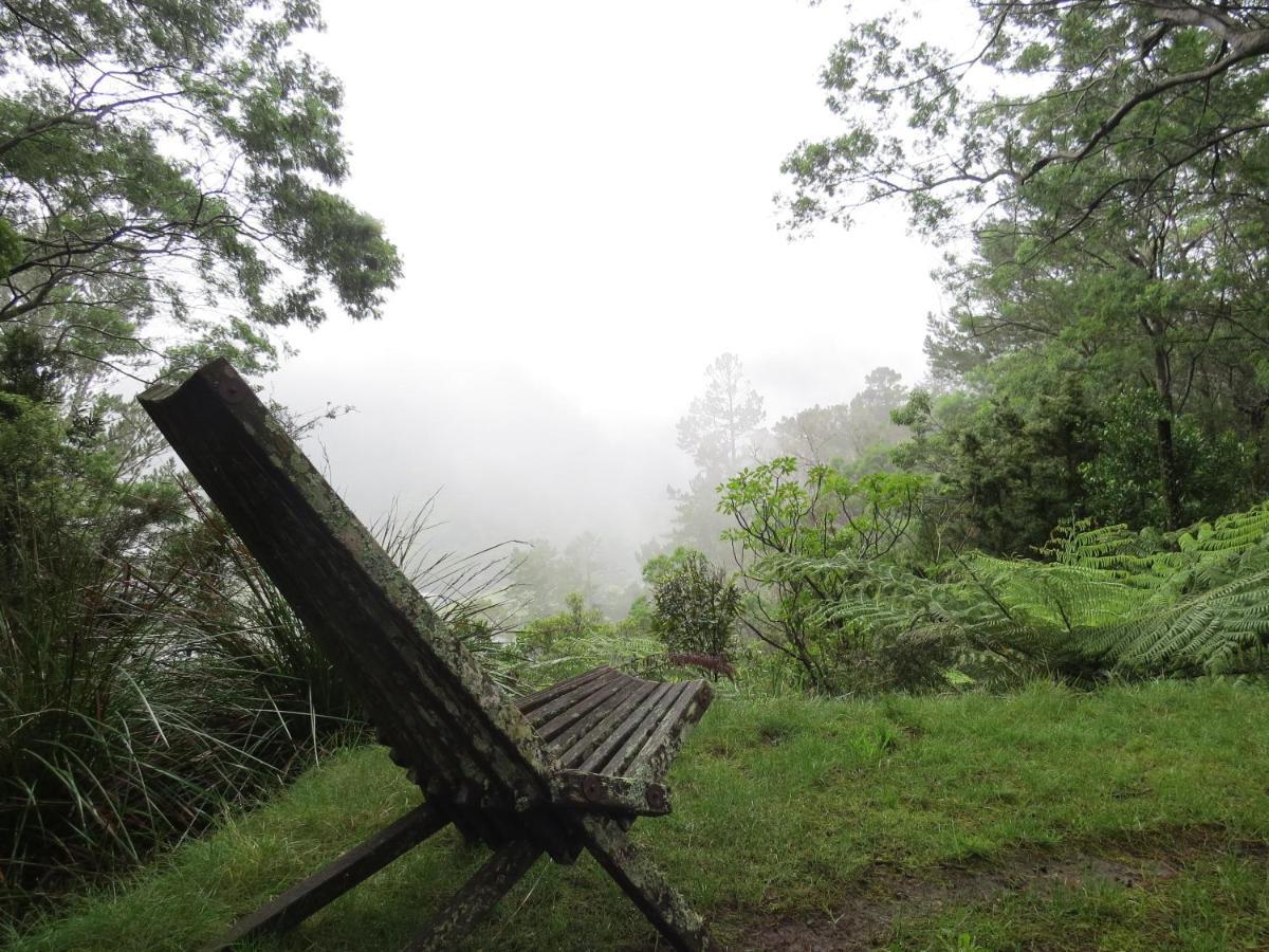 Ferienhaus Crown Ridge Miners Karangahake
